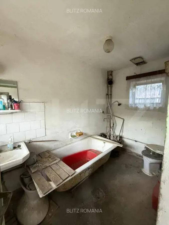 Casa batraneasca, renovabila, Comuna Danesti, Sat Vacarea, 2570 mp, front 25 ml - 6