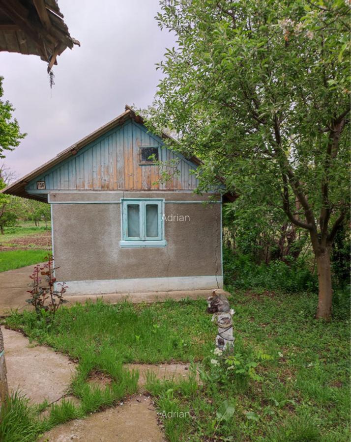 Casa si teren 826 mp Boldesti-Gradistea, Prahova, Str. Cameliei. - 9