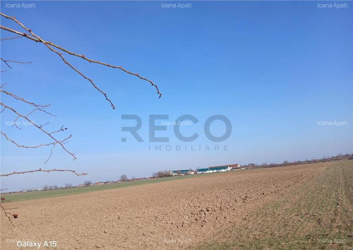 RECO Teren intravilan aproape de zona industriala Biharia - 5