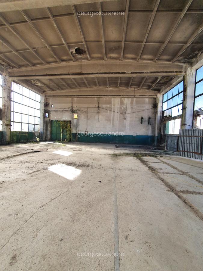 Hala 300 mp, 1,50 e/mp - 1