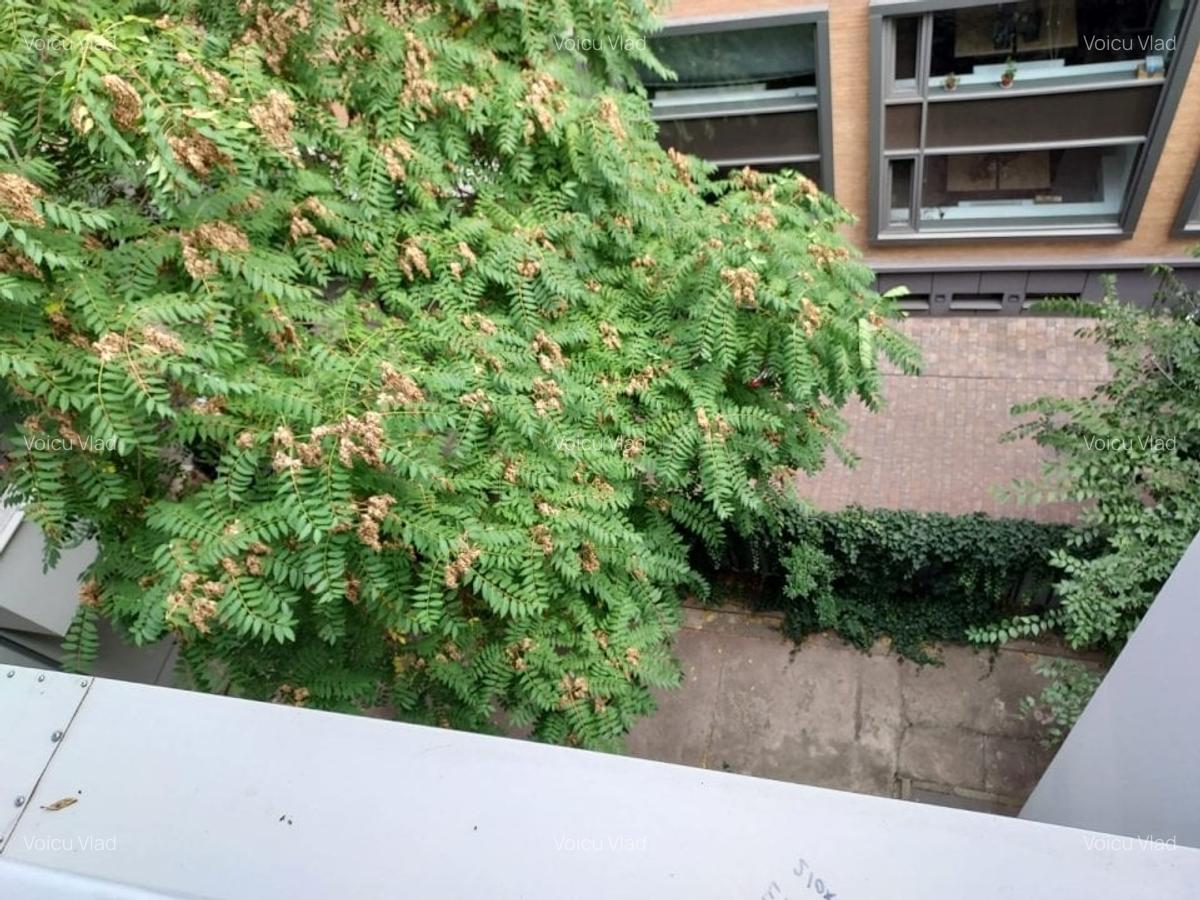 CALEA VICTORIEI-IORGA,4 CAM ,SUPERBISSIM,NEMOBILAT,UTILATGARAJ,PARCARE,1200 EURO - 24