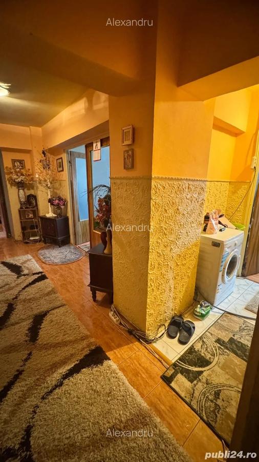 Apartament 4 camere de vanzare Sebastian - 9