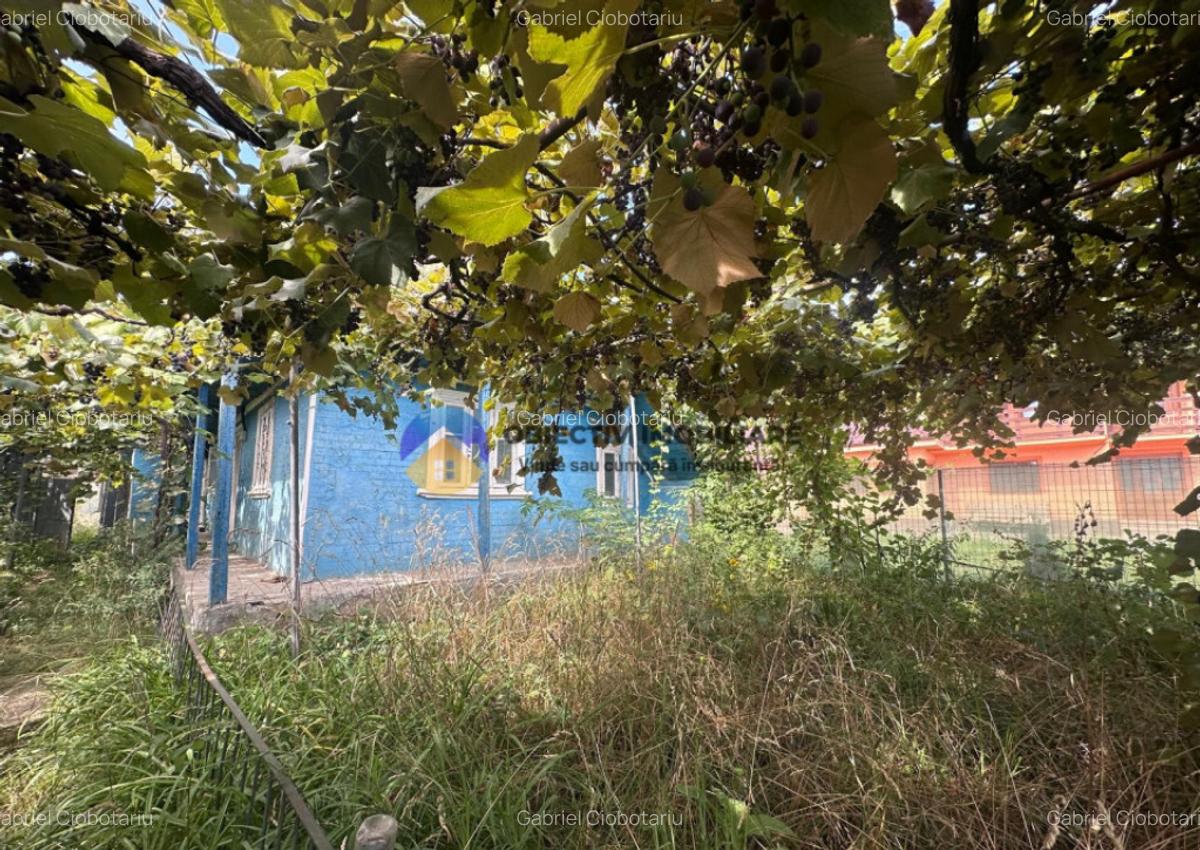 Teren + Casa de Vanzare 1170 mp Dumbrava Ro?ie, N - 3
