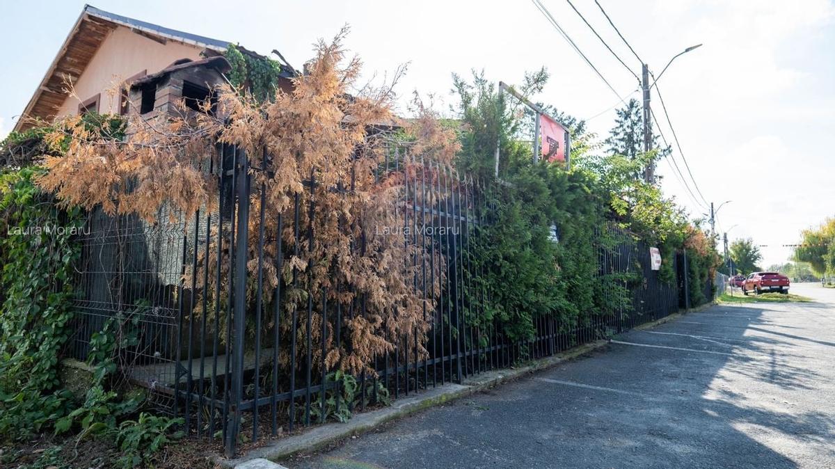 Vanzare imobil cu functiune mixta Ungureni/ Dambovita - 4