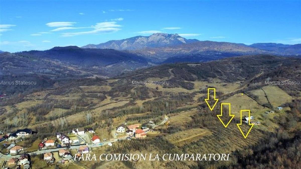 OPORTUNITATE DE INVESTITIE, TEREN 8630 MP, CALIMANESTI - 1