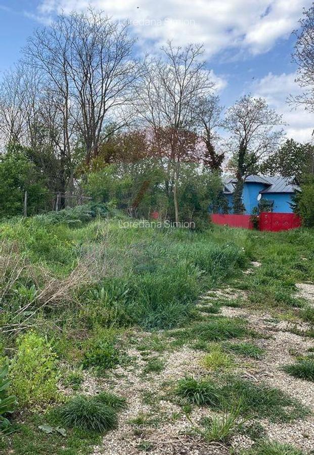 Teren Ciolpani 950 mp, intre case, utilitati la marginea ... - 3