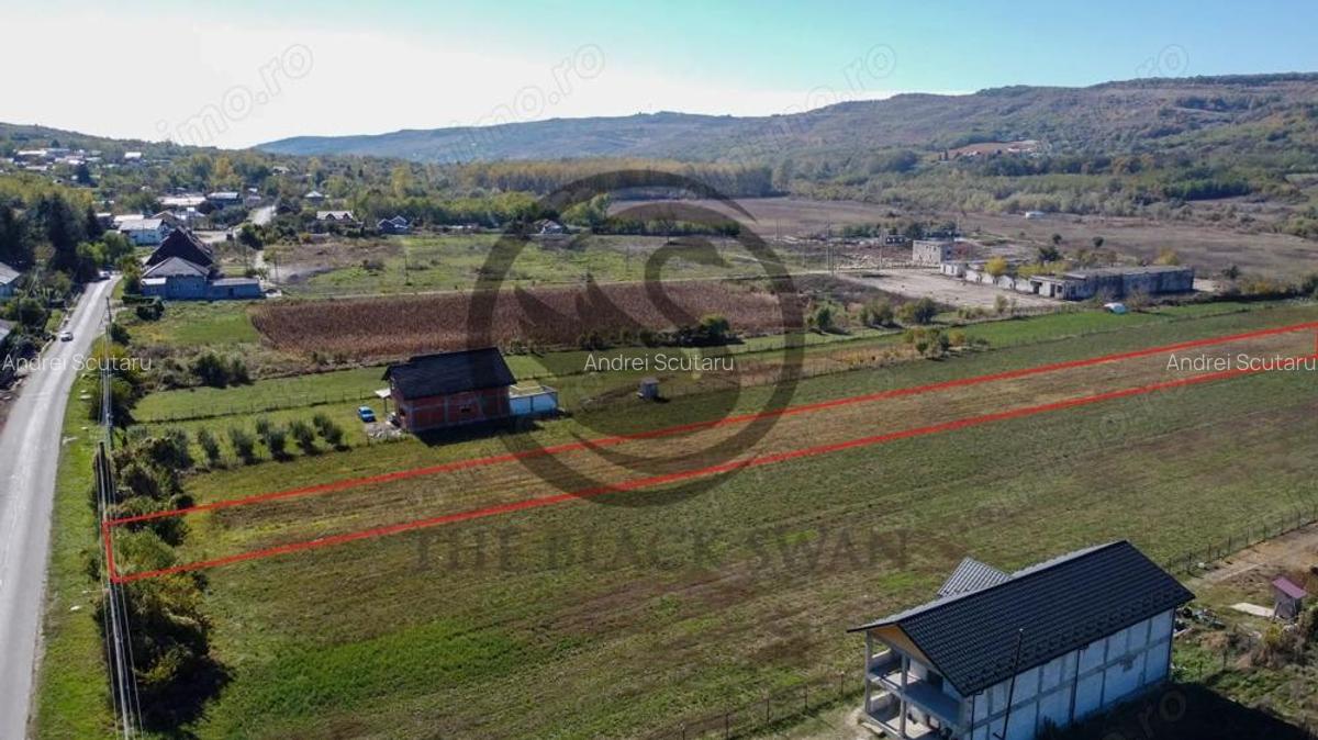 Teren intravilan de vanzare | 3.084mp | Plavia - Urlati | Comision 0% - 4