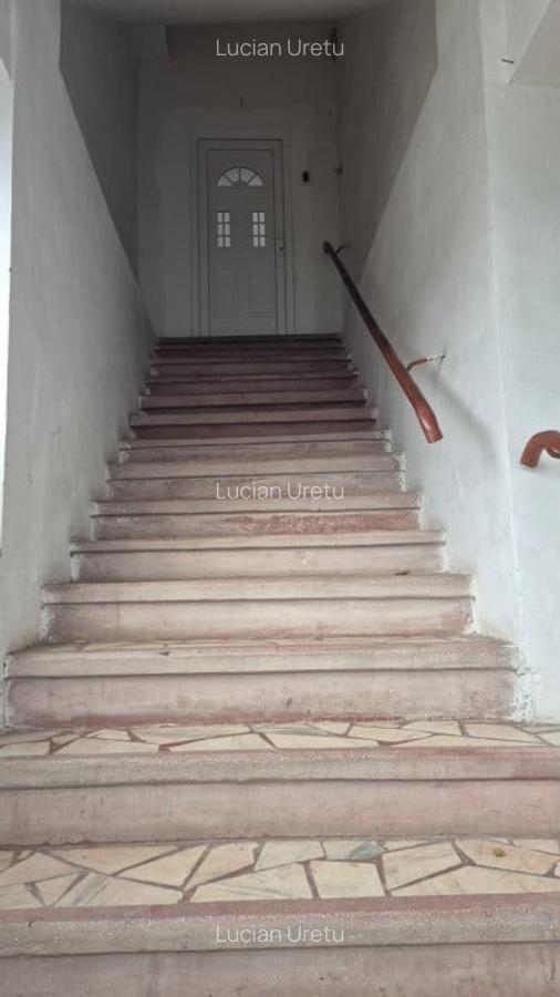 P+1+M | VILA | SPATIU COMERCIAL | INVESTITIE - 7