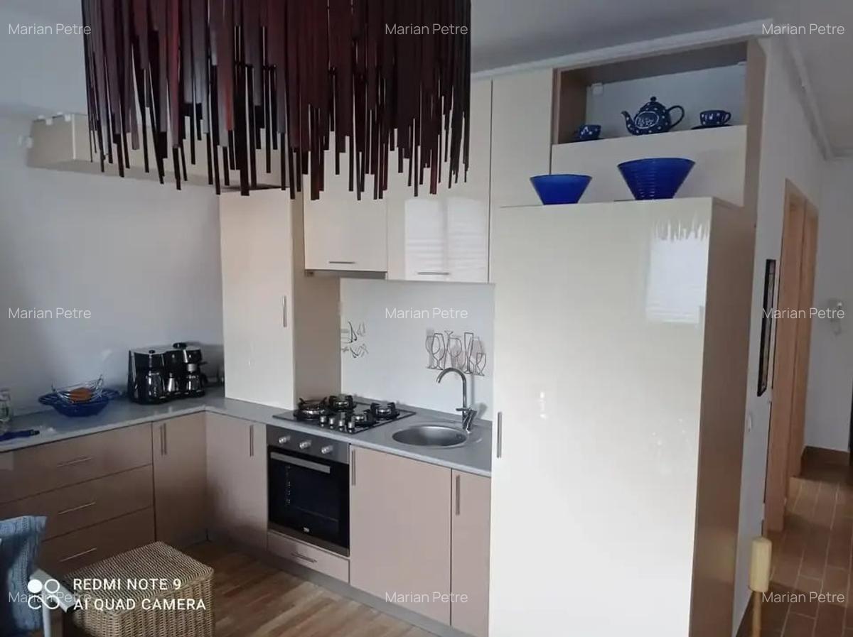 Apartament  2 camere mobilat-utilat- Zona  Jiului - 13