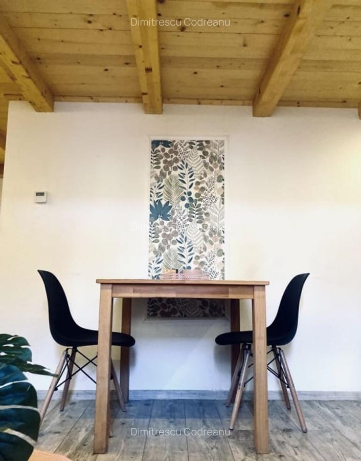 Apartament 1 camera, 40 mp, Ultracentral, parter - 5