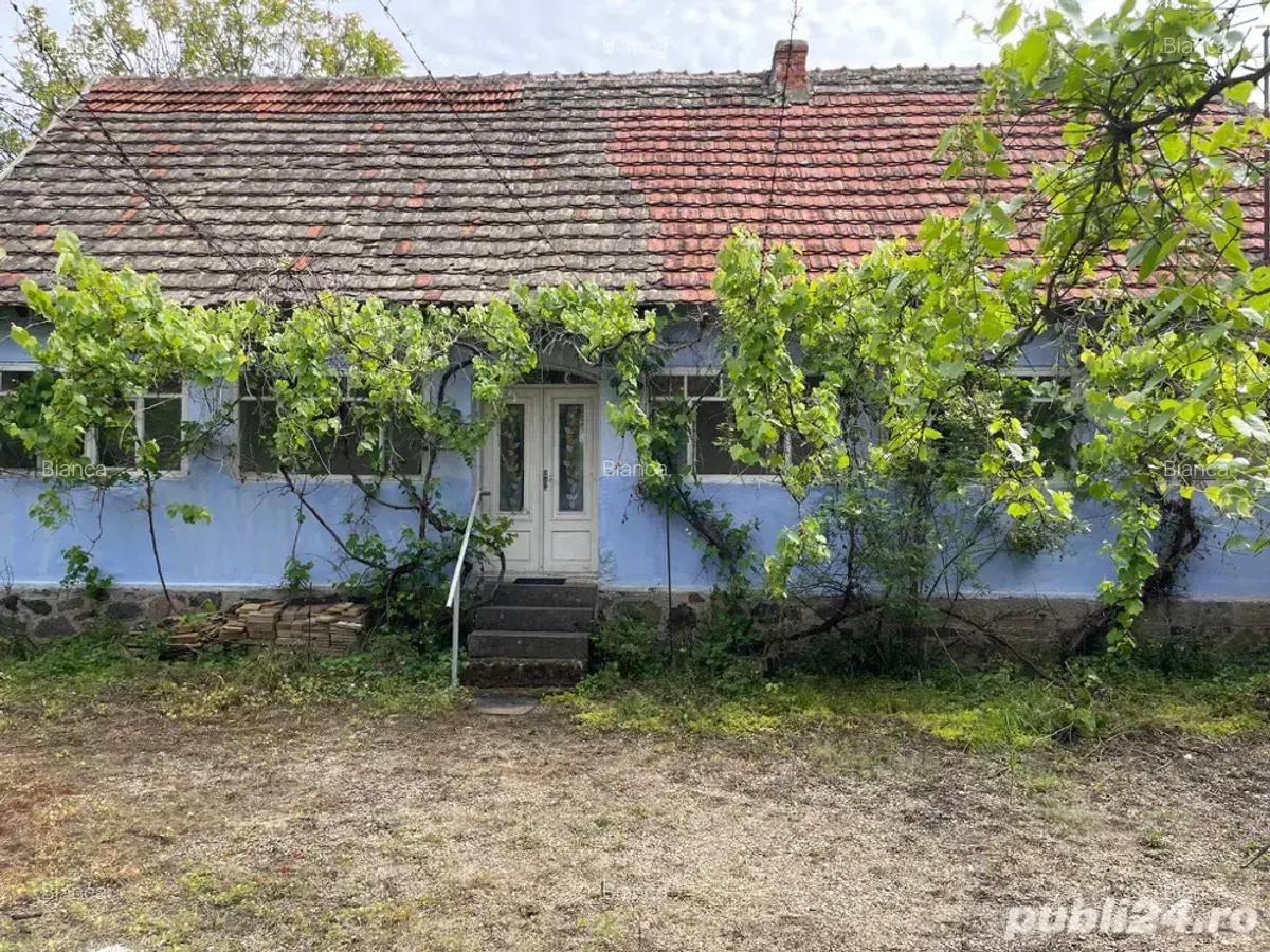 Vand casa in Sebis 2200 mp teren - 5