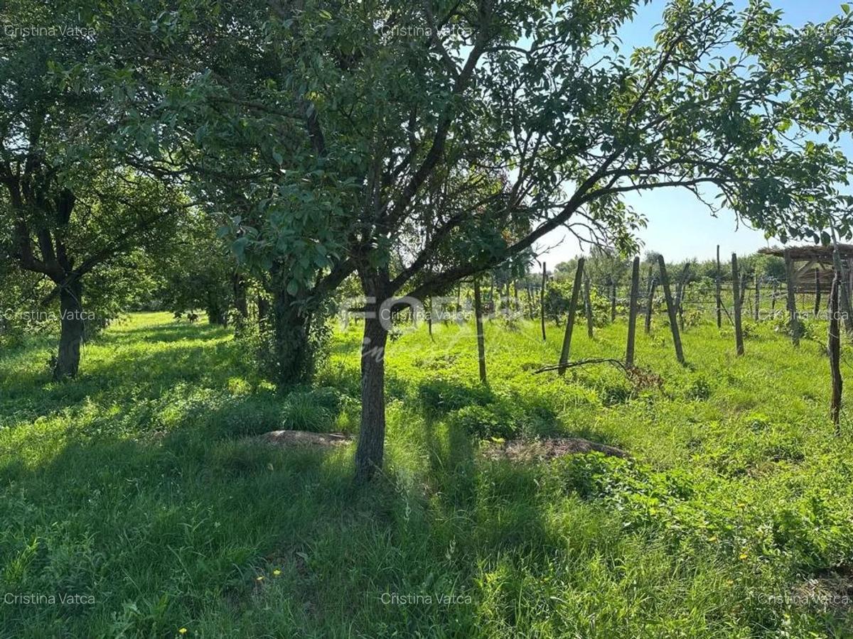 Teren intravilan de vanzare 3000 mp comuna Tamaseu Bihor - 2