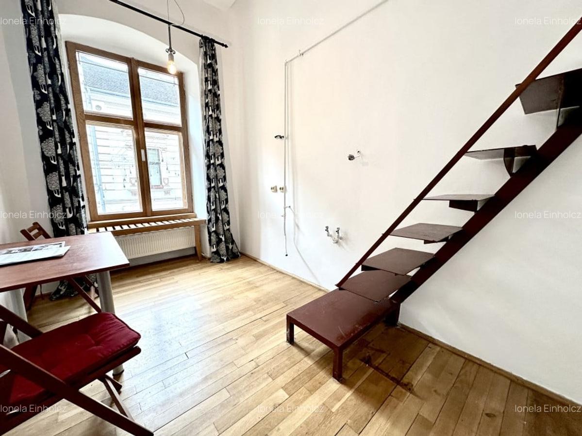 APARTAMENT 1 camera,  proprietate versatila in centrul Timisoarei - 4