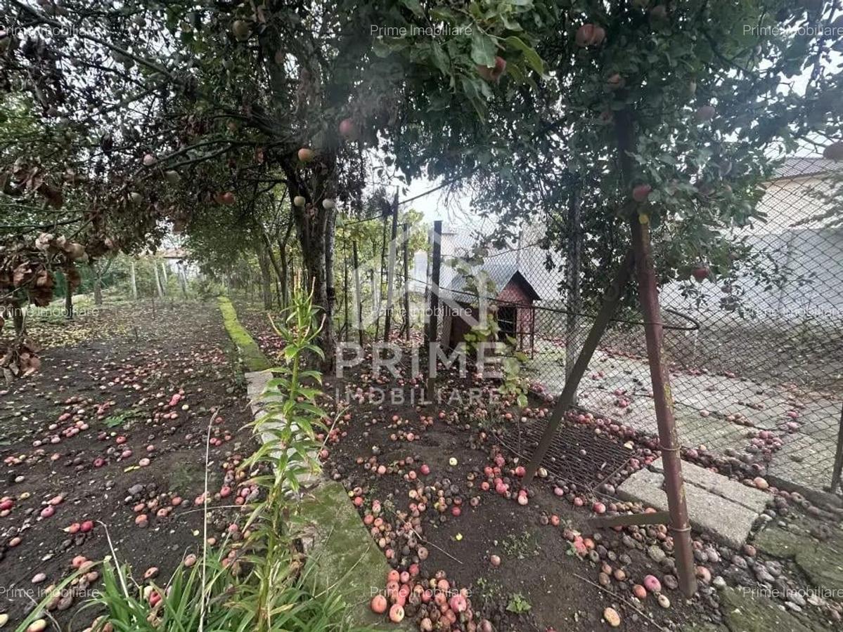 Casa individuala 223 mp| 4 camere| zona Schit - 11