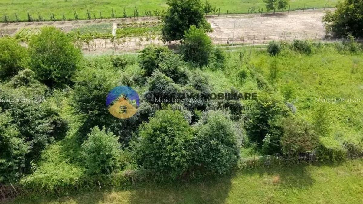Teren intravilan com. Alexandru cel Bun- Viisoara - 7