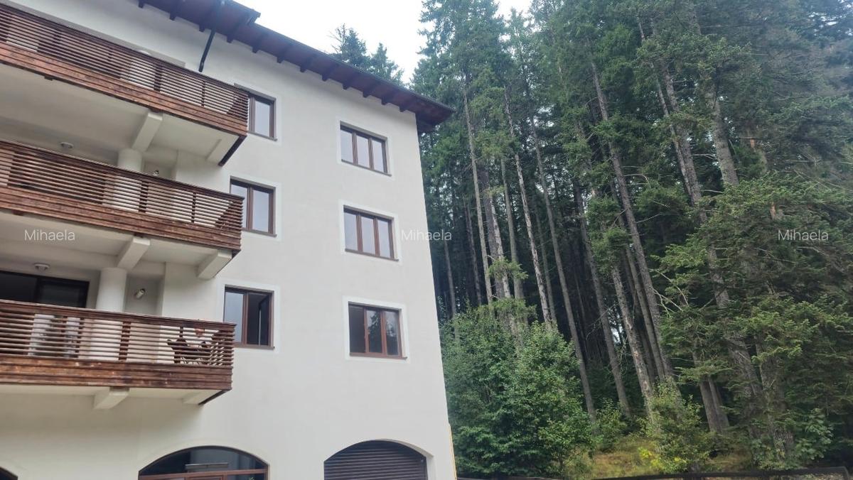 Apartamente de Vacanta Partia Clabucet Predeal - 1
