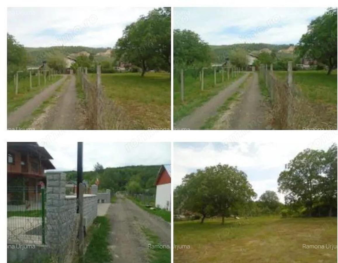 Teren intravilan loc. Brosteni, judetul Vrancea - 3