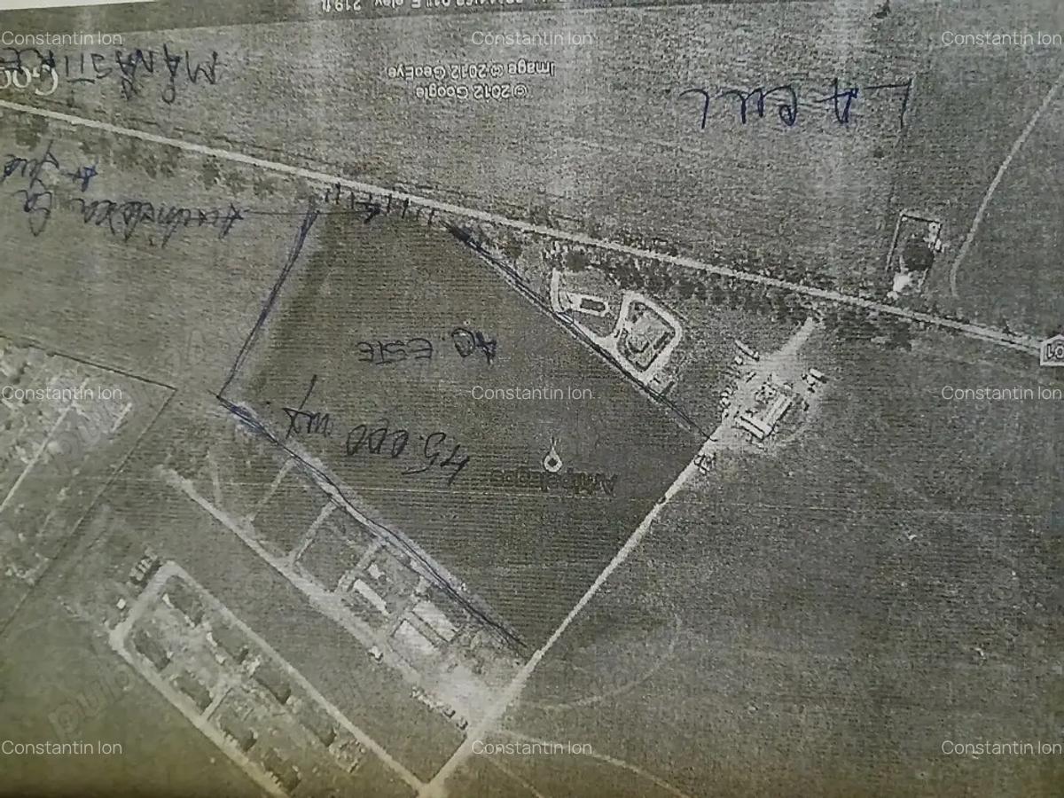 Vind teren la Cernica 45000 mp PUZ Aprobat Complex rezidential paradis - 2