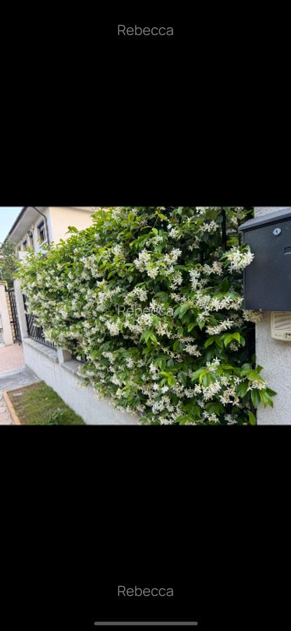 Vila P+1E+mansarda  în cartierul rezidențial Lake Residence - 9