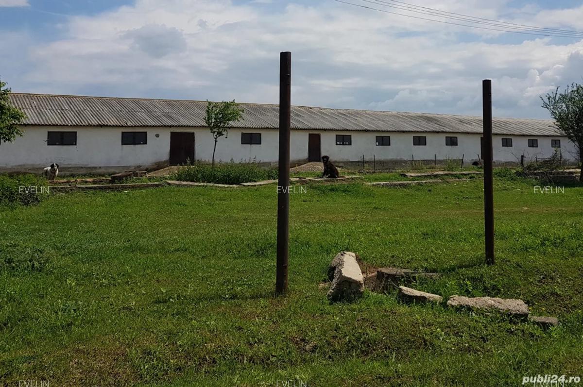 Hala Depozit de inchiriat - 2