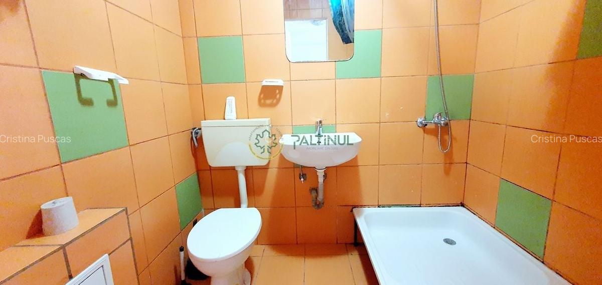 Apartament Mansarda spatios de vanzare in Sibiu, zona Vasile Aaron - 7