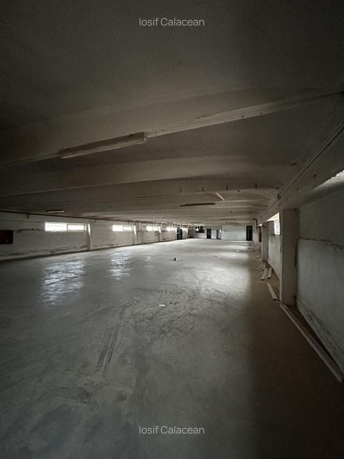 Hala Industriala Gradiste De Inchiriat - 12