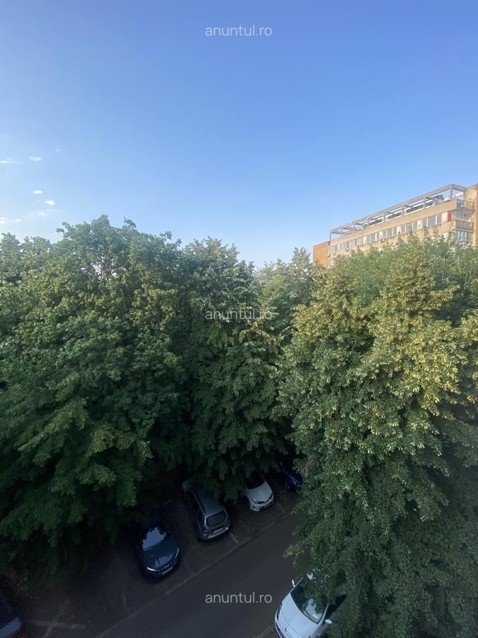 Bucur Obor, Ferdinand - 9