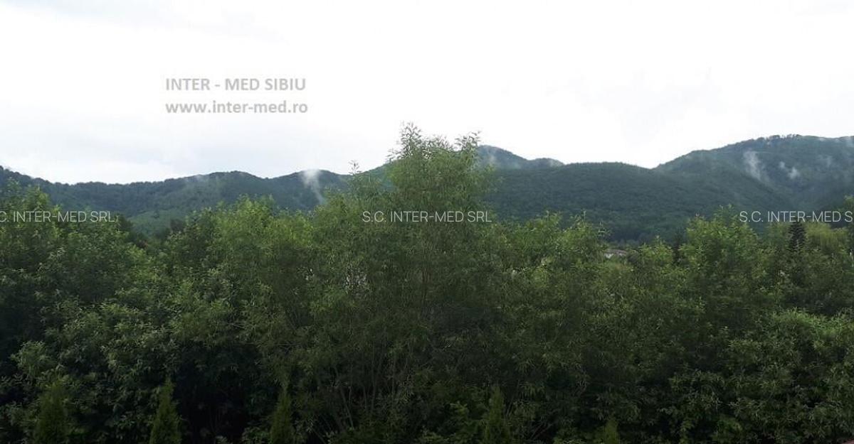 Apartament 3 camere la vila Tocile Sadu - 2