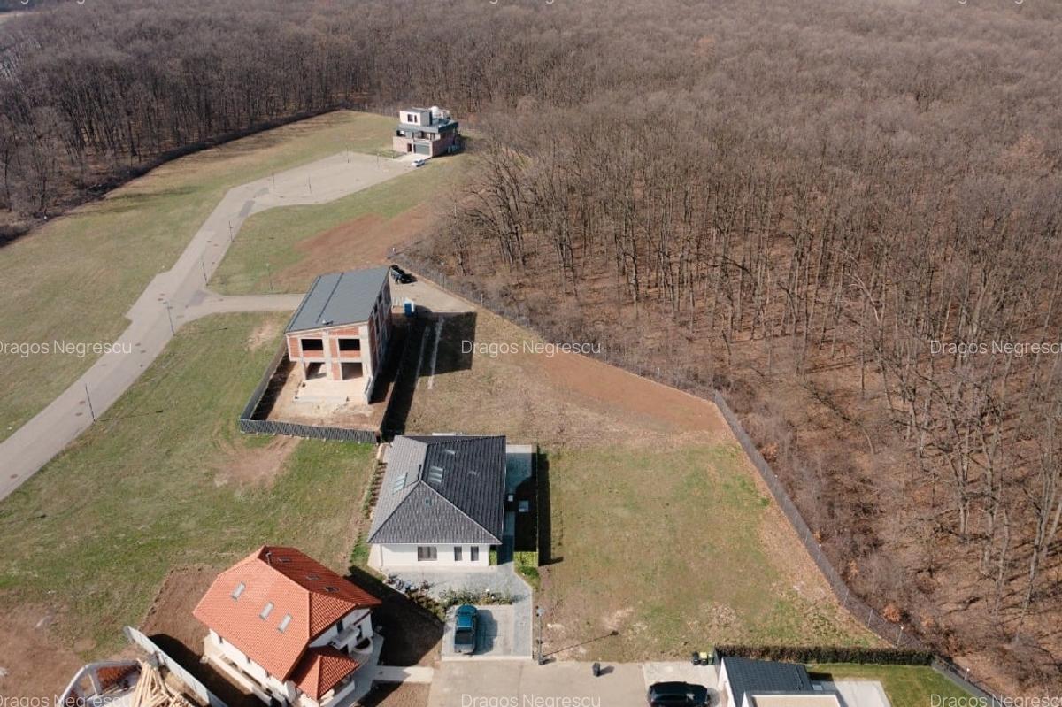 Teren de vis în Dumbrava Vlăsiei – 1290 mp, la marginea pădurii mature - 3