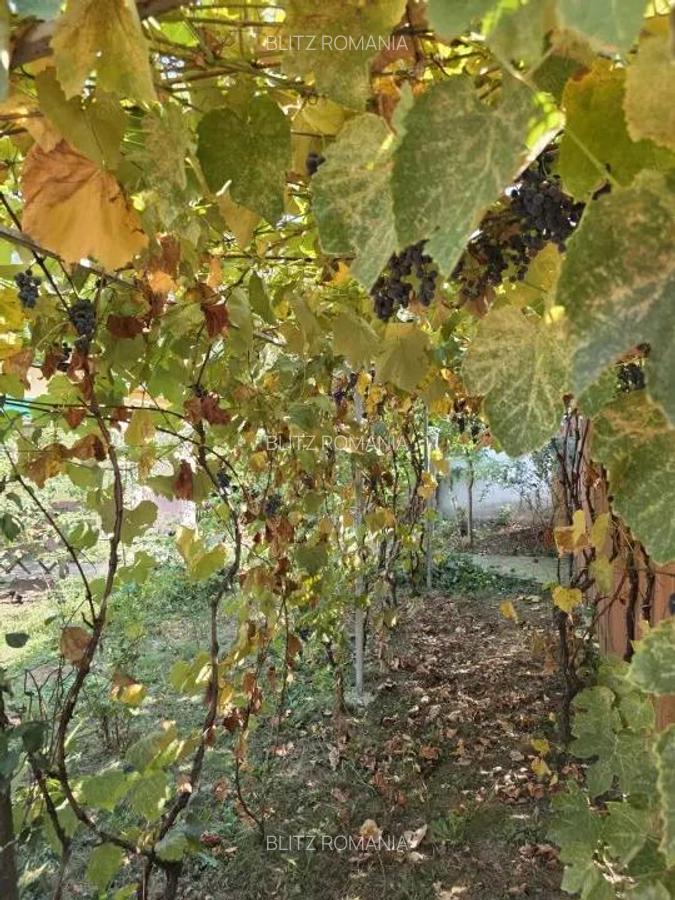 Casa, teren generos Magurele, sat Iazu, Prahova - 12