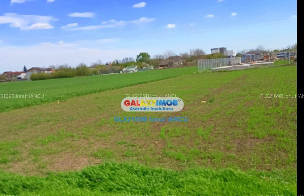 Teren TUNARI Straja - 6