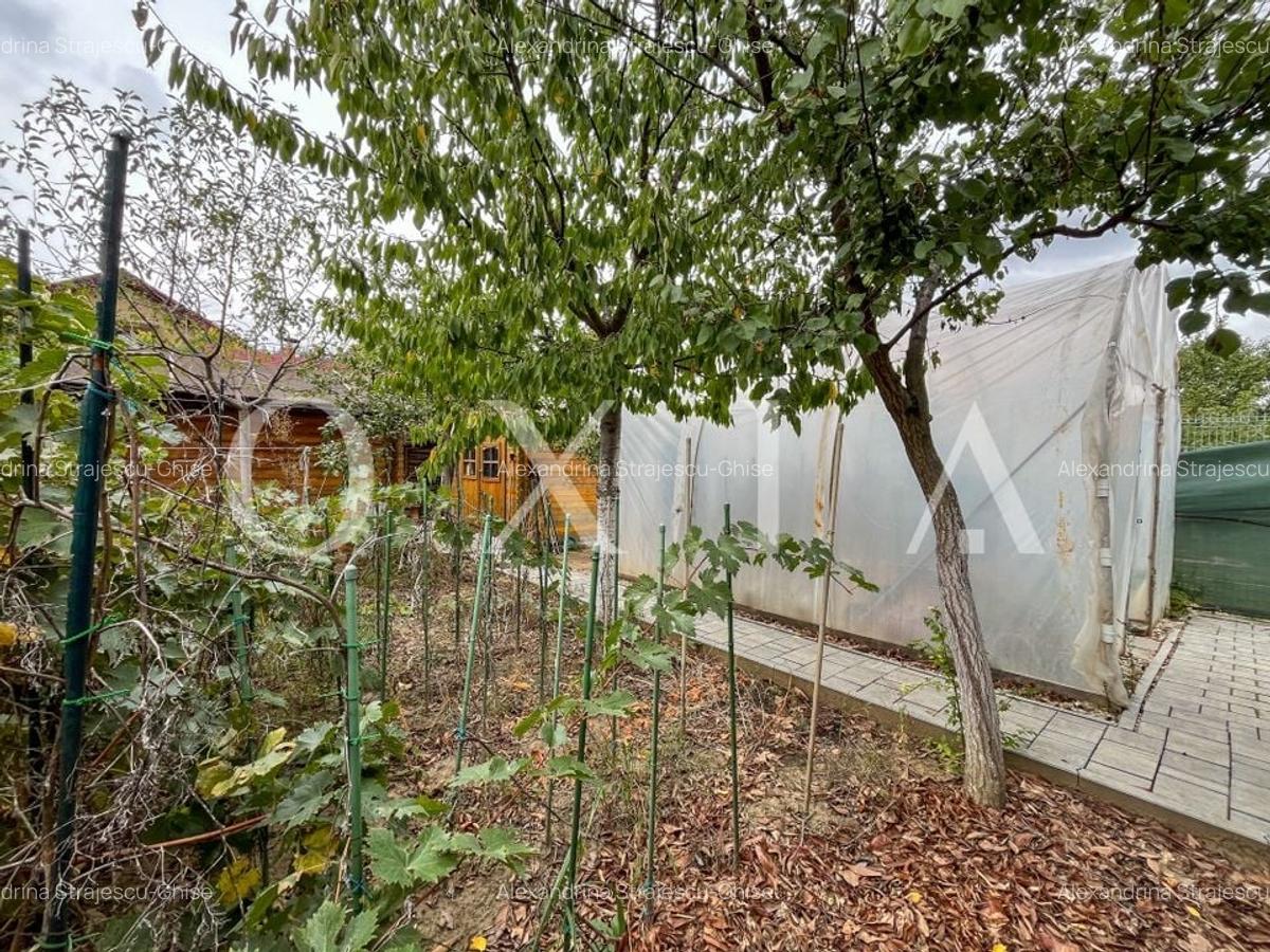 SX636 Dumbravita Padure - Teren Generos - Disponibil Imediat - 26