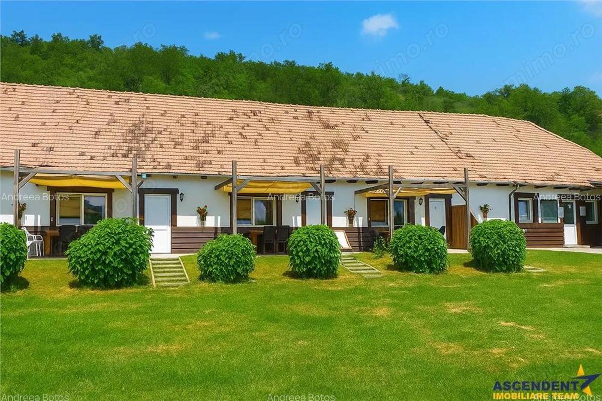 Transilvania Camping, domeniu de 14.400mp,Sanmarghita de Mures:2cladiri, apartamente,potential excep - 6