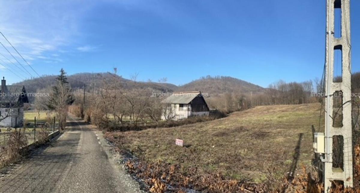 TAUTII MAGHERAUS strada 74 teren intravilan de aprox 36ari ! - 1