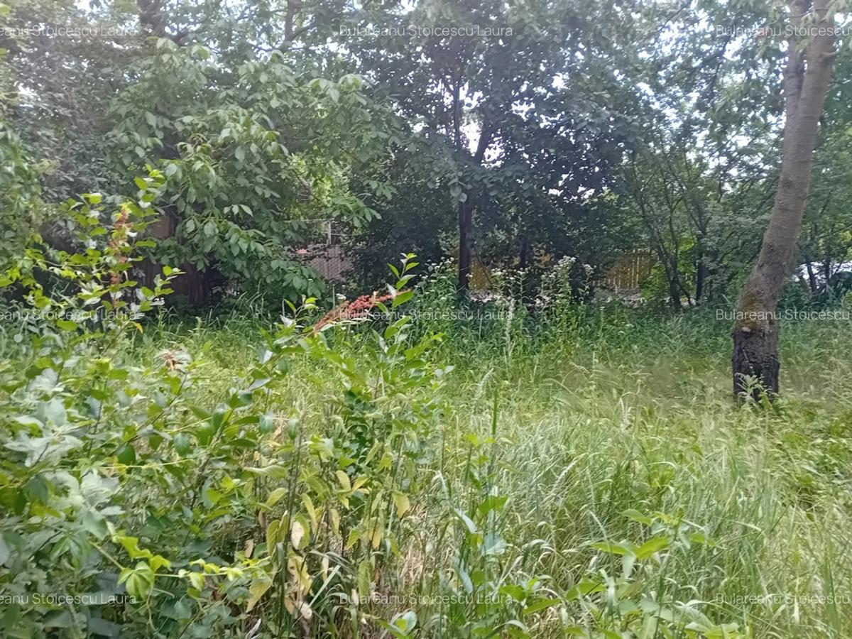 Casa de Inchiriat in zona Tintea - 5