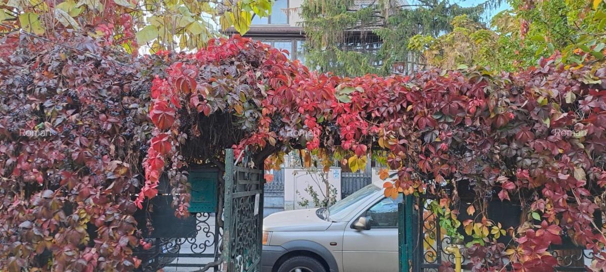 Casa individuala cu gradina - 1
