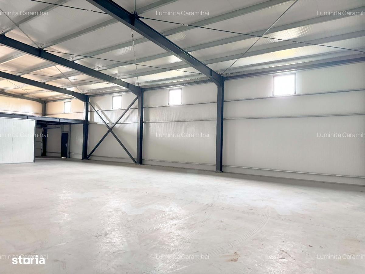 Theodor Pallady -Drumul intre Tarlale inchiriere spatiu hala - 2