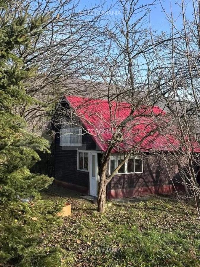 Casa de vacanta de vanzare, in Lisnau - Comuna Ozun - 7