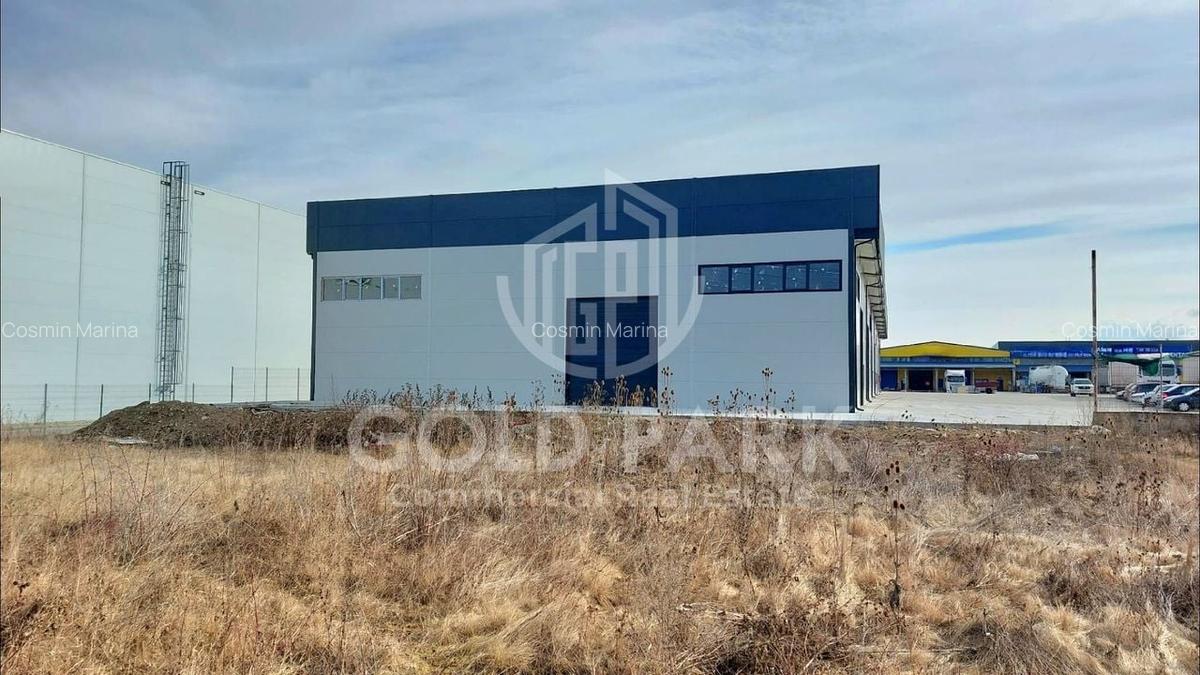 Spatiu Industrial-HALA NOUA/MODERNA-Zona Autostrazii- Curte Betonata - 25