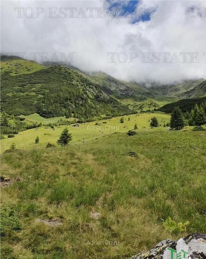 SUPER OPORTUNITATE, DE VANZARE O PROPRIETATE SPECIALA, MUNTE - 12