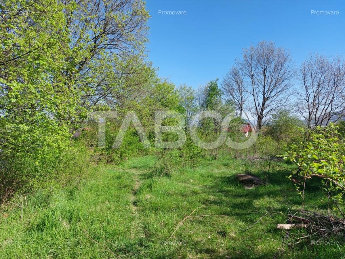 Teren 3445 mp pentru persoanele care doresc casa  cu teren generos - 6