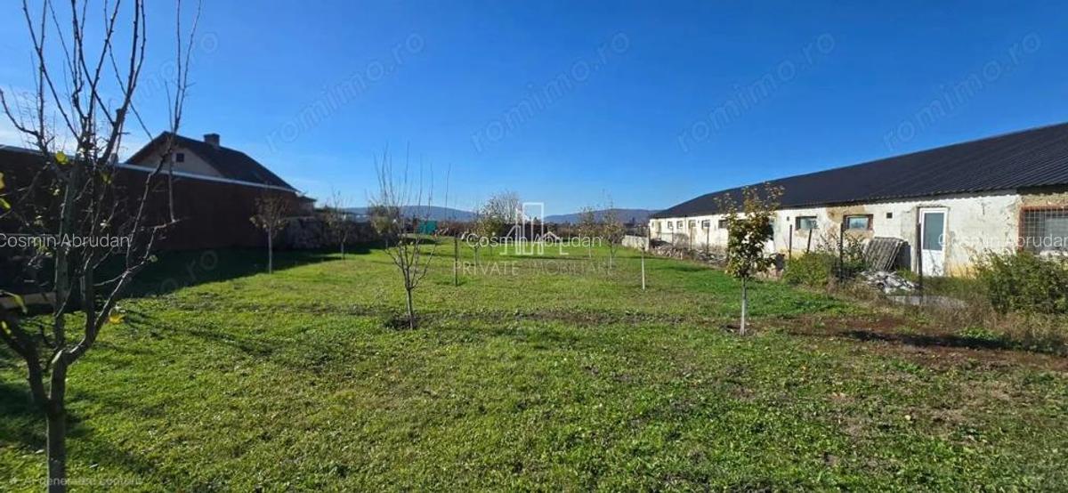 Teren de vanzare, Albesti, Sighisoara - 5