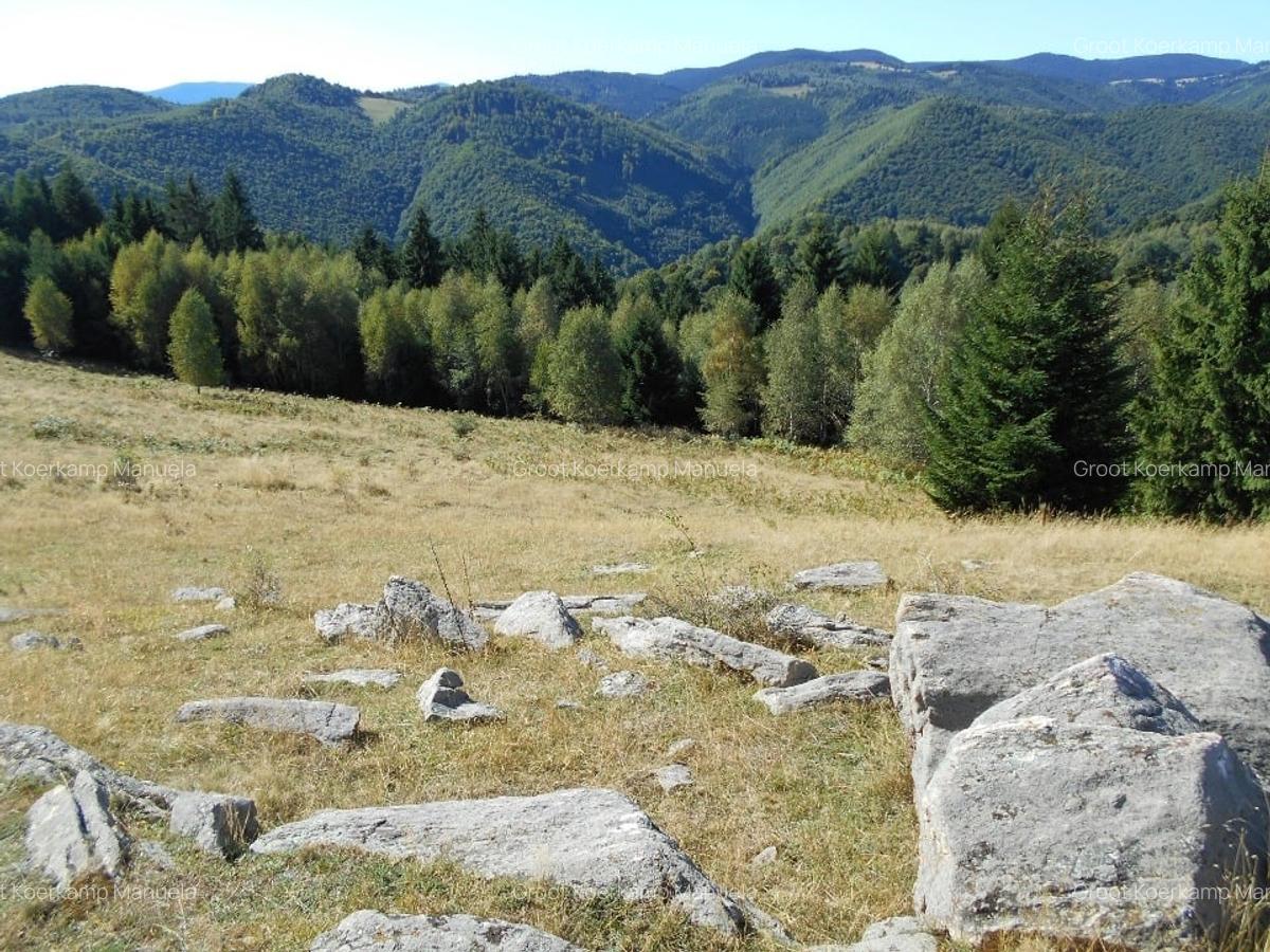 Teren montan, 19.593mp, 32.000 euro , zona Saliste-Crint,  priveliste frumoasa - 3