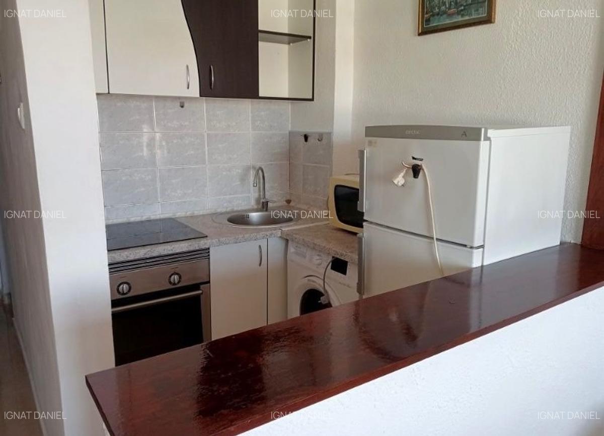 Apartament cu 1 camera, PET FRIENDLY, zona Podu Ros - 3