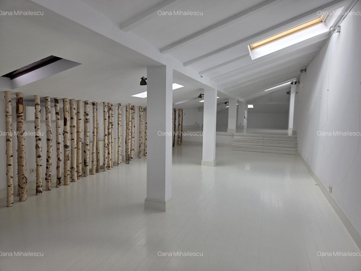 Vila interbelica de inchiriat/pretabila activitati comerciale/Victoriei - 16