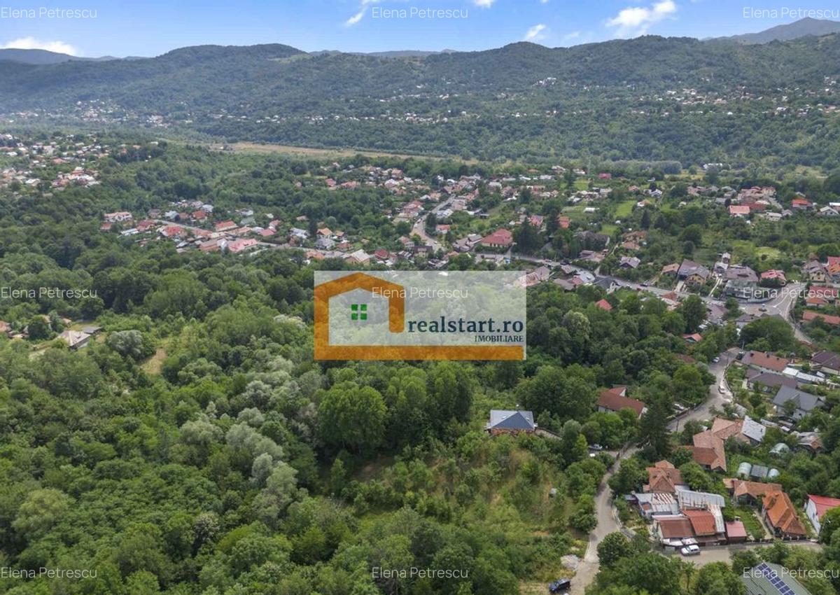 Cornu, Vedere la Padure, Vila D+P+M, 6600mp teren, 4 parcare - 8