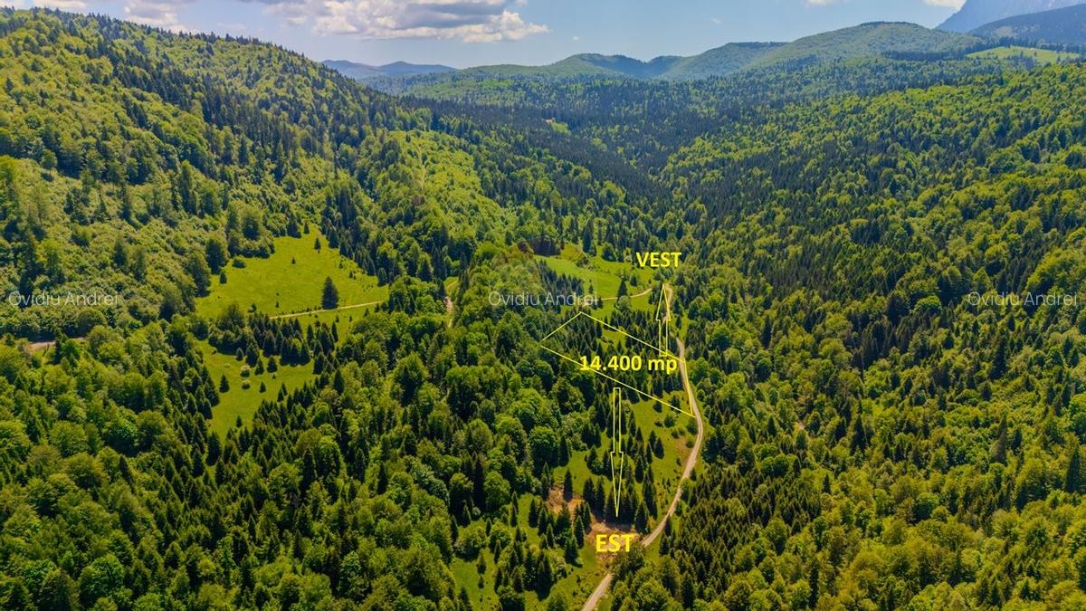 Teren extravlan 14,400mp Paraul Rece / Strada 3 brazi - 4
