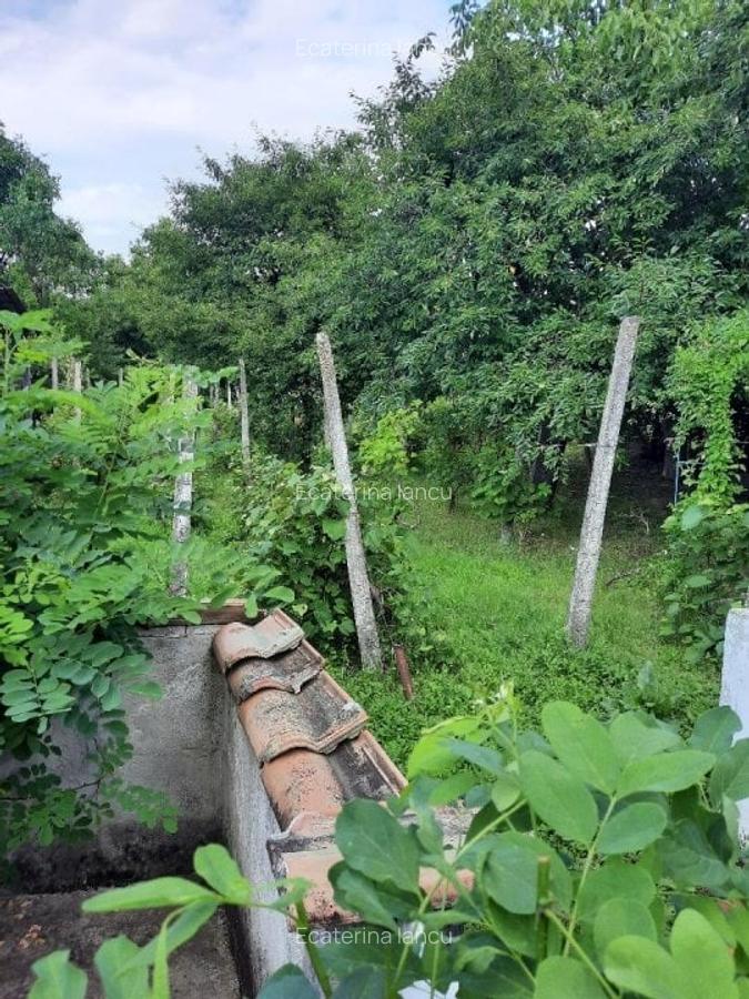 Casă cu 4 camere în Cocorăștii Colț - 7