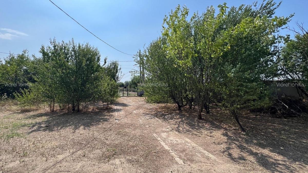 Casa individuala cu teren 797 mp | Teghes-Domnesti - 4