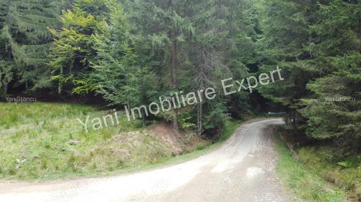 Teren de vanzare in apropiere de Transfagara?an ?i Valea Valsanului. - 11